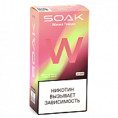 POD- SOAK W -  -  (10.000 ) - 2% (1 .)
