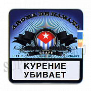 ��������� ����� �� ������ - �������� (10 ��.)