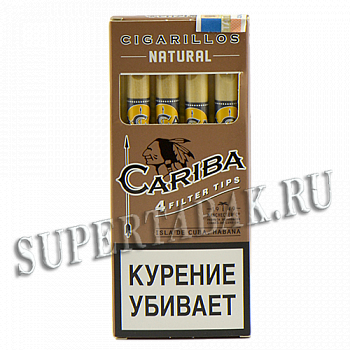 Cariba Wood Tip Natural - 4 .