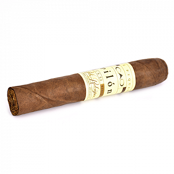  CAO - Pilon - Robusto (1 .)